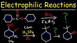 Electrophilic Aromatic Substitution Reactions Made Easy [upl. by Atsahs]