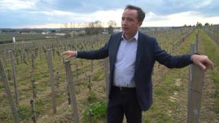 Bordeaux 2015 Winemaker JeanPhilippe Delmas Comments on La Mission HautBrion [upl. by Rihat]