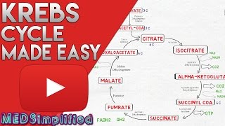 KREBS CYCLE MADE SIMPLE  TCA Cycle Carbohydrate Metabolism Made Easy [upl. by Turtle288]