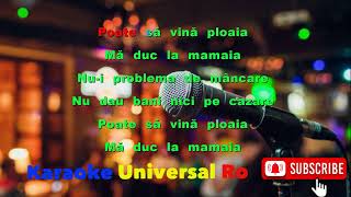 Nicolae Guta La mamaia Karaoke Universal Ro [upl. by Attegroeg]