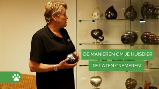 Je overleden kat laten cremeren  Rouw 2 [upl. by Ettenel]