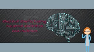 Electrical Events During Neuronal Excitation and Inhibition [upl. by Houston]