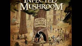 Infected Mushroom Project 100 [upl. by Loziram]