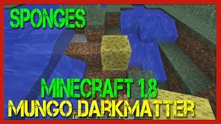 Minecraft  How to Use Sponges in Minecraft [upl. by Ng]