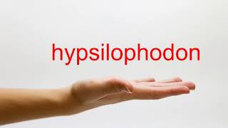 How to Pronounce hypsilophodon  American English [upl. by Yerffe]