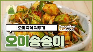 오이 송송이 황금 레시피 진짜 맛있는 즉석 오이 깍두기 cucumber kimchi RECIPE [upl. by Elletsyrc]