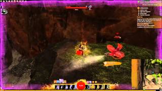 Guild Wars 2  Lost coin near Vine Bridge Waypoint Unswept Uplands [upl. by King364]