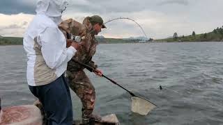 Kokanee Salmon Fishing Holter Reservoir June 2023 [upl. by Adleremse325]