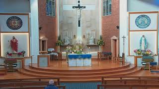 Catholic Mass for 8th Week in Ordinary Time  Thursday 30 May 2024  8am [upl. by Dolphin488]