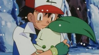 Chikorita  Pokémon The Johto Journeys  Official Clip [upl. by Ayokal]