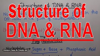 Struture of DNA amp RNA Nucleic acids  Biochemistry Part 29  csir net  gate  Iit jam [upl. by Ezeerb615]