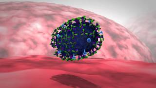 Influenza Get the Antigenic Drift [upl. by Dor]