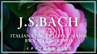 【JSBach】Italian Concerto in F Major BWV 971：ⅢPresto  イタリア協奏曲 第3楽章 [upl. by Ettenyar]