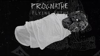 Prognathe  Flying Fetus [upl. by Plume158]