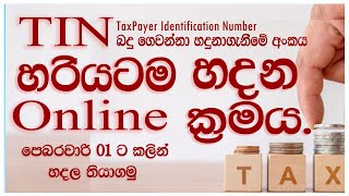 How to create a TIN Step By Step Taxpayer Identification Number  TIN එක හරියට හදන පියවර ටික [upl. by Arabeila]