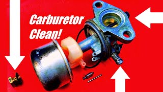 How to Fix a Lawn Mower by Cleaning the Carburetor Briggs amp Stratton and Tecumseh [upl. by Artep]