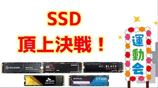 SK하이닉스 Platinum P41 M2 NVMe 1TB 리뷰 및 속도 비교 테스트 vs 980PRO 980 Gold S31 [upl. by Jeana]