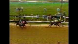 1979 Belmont Stakes  Coastal  CBS Broadcast [upl. by Esille]