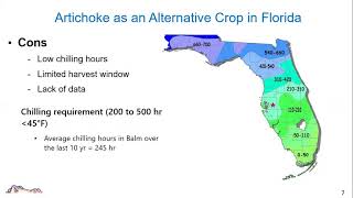 Growing Artichokes in Subtropical Climate Conditions  2021 ASHS Presentation [upl. by Courtnay]