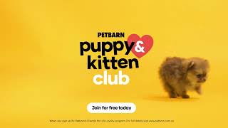 Join Petbarns Puppy amp Kitten Club [upl. by Vere299]