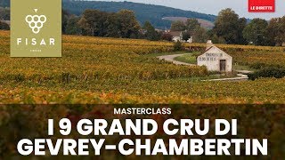 I 9 Grand Cru di GevreyChambertin [upl. by Esihcoc]