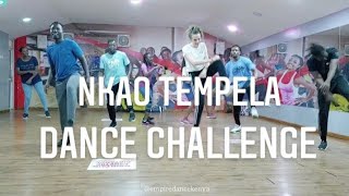 Nkao Tempela Dance Challenge  Chicco ft Mellow Sleazy [upl. by Aropizt]