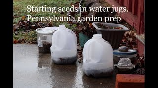 Starting seeds in water jugs Pennsylvania garden prep 12824 [upl. by Norma]