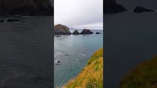 Hartland Quay Rugged coastline shorts [upl. by Inohtna]