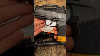 Sig P365 X Macro ASMR [upl. by Sivia850]