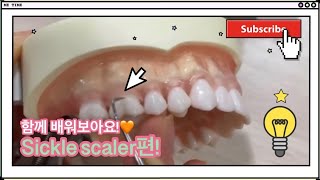 치위생학과 필수시청🦷 Sickle scaler에 대해 자세하게 알아보아요🧡 l 캡스톤스타⭐ [upl. by Ennahtebazile64]