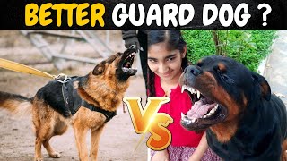 Who is Best Guard dog German Shepherd Or Rottweiler [upl. by Chappie]