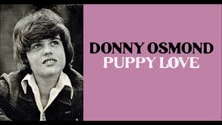 Donny Osmond  Puppy Love ReWork By DJ Nilsson [upl. by Ranite]