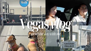 Vegas Vlogs  Day in my life [upl. by Kcirdnek435]