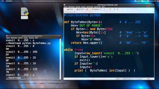 python  Byte to Hex [upl. by Amato]
