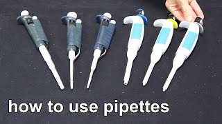 How to Use Micropipettes  Techniques Demonstration [upl. by Milo]