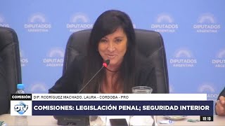 COMISIÓN COMPLETA CONJUNTA  10 de septiembre de 2024  Diputados Argentina [upl. by Frissell872]