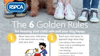 RSPCA Video  Keeping our children safe and our dogs happy [upl. by Gassman]