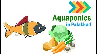 Aquaponics in Palakkad Malayalam [upl. by Ainola]