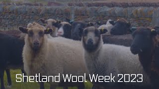 Shetland Wool Week 2023 [upl. by Aluk886]