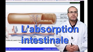 labsorption intestinale [upl. by Nage]