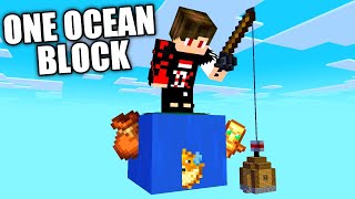 I Survived 100 Days on ONE OCEAN BLOCK in Hardcore Minecraft [upl. by Ardeth]