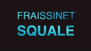 Nicolas FRAiSSiNET  SQUALE  Live [upl. by Quarta]