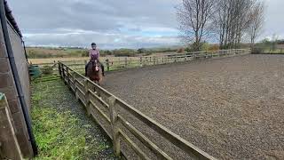 Mandy Hutchinson riding Jasper Novice 30 dressage test [upl. by Ahsaercal]