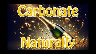 Carbonating Beverages Naturally [upl. by Lertnahs]