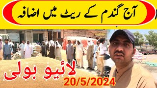 Wheat rate today galla mandi [upl. by Ib]