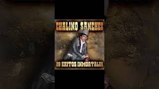 Chalino Sánchez Álbum Completo2024 shorts sus musica top10 corridos topsongs regionalmexicano [upl. by Isyak]