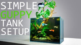 How to Setup a Simple Guppy Fish Tank TUTORIAL [upl. by Montana]