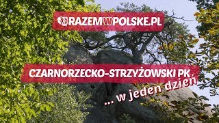 ZAMEK KAMIENIEC REZERWAT PRZĄDKI KOŚCIÓŁ BLIZNE SCHRON STRZYŻÓW PODKARPACIE CO WARTO ZOBACZYĆ [upl. by Mick]