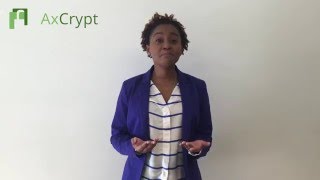 AxCrypt Pitch English [upl. by Airretnahs645]