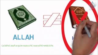 vidéo choc mariage temporaire fornication halal [upl. by Sirahc]